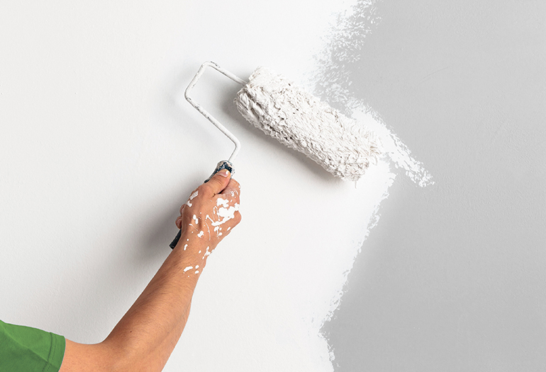 Antialgae primer for humid areas