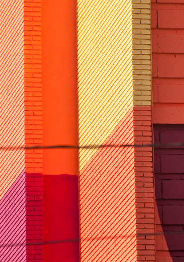 Graphenstone Converse All City Forests