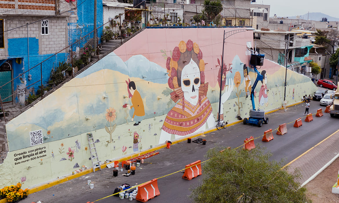 Graphenstone Converse All City Forests