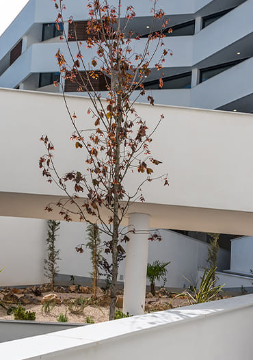 Graphenstone Los Arces Residential Estate